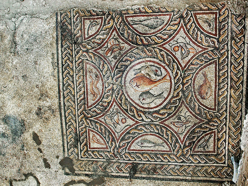 The Lod mosaic that was exposed recently